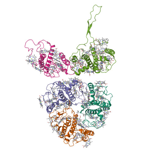 Structure 9XK9