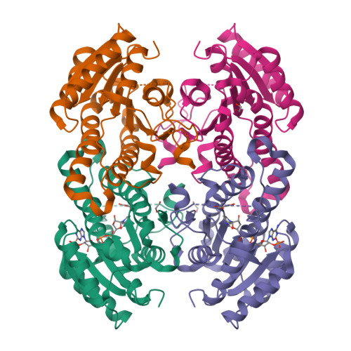 Structure 9XMK