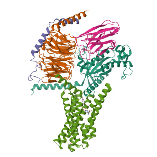 Structure 9XN2