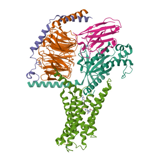 Structure 9XN4