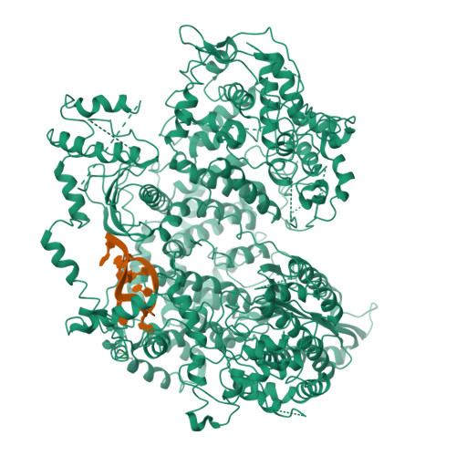 Structure 9XRX