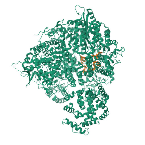 Structure 9XSB