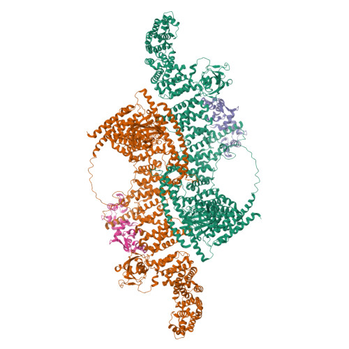 Structure 9XTI