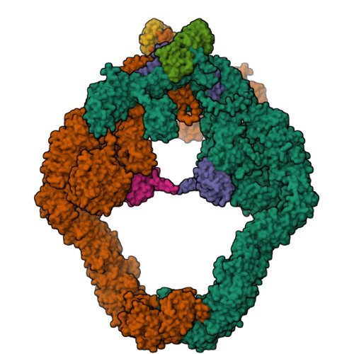 Structure 9XTJ
