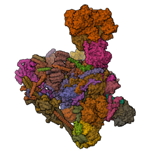 Structure 9XTT