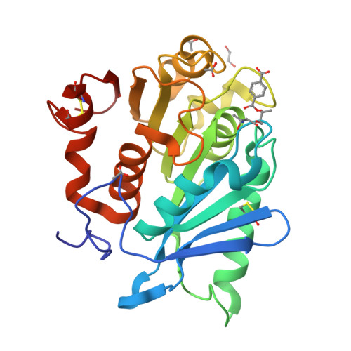 Structure 9XUH