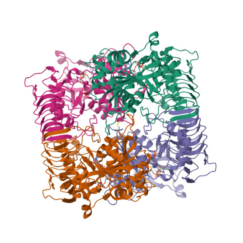 RCSB PDB - 9XUR: ADPG-bound ADP-Glucose Pyrophosphorylase