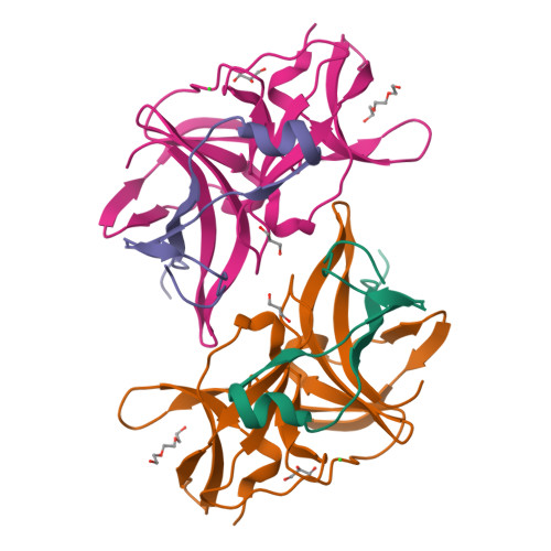 Structure 9XVJ