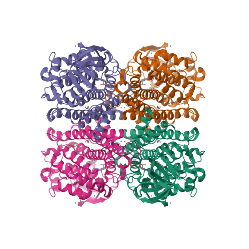 Structure 9XVK