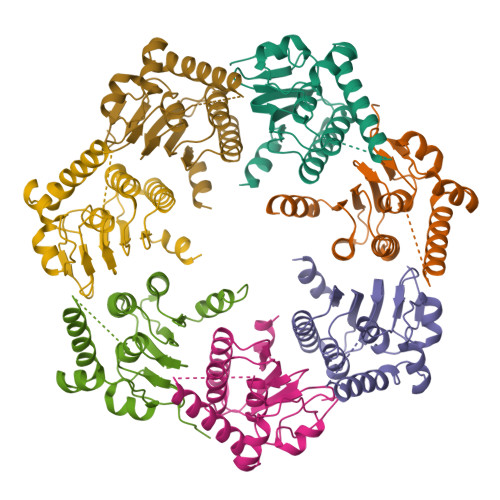 Structure 9XYJ