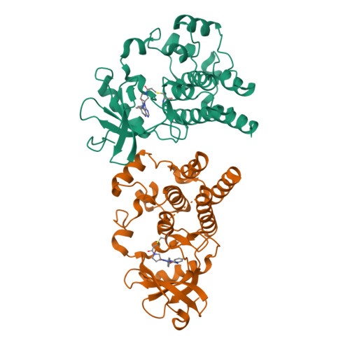 Structure 9XZ2