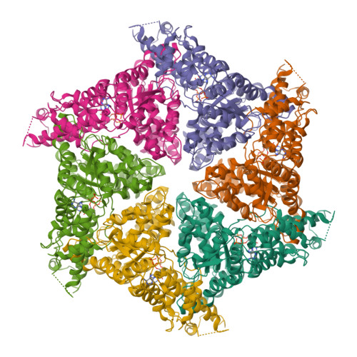 RCSB PDB - 9Y03: Cryo-EM structure of human VCP/p97-R89W mutant bound ...