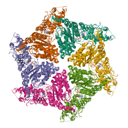 RCSB PDB - 9Y06: Cryo-EM structure of human VCP/p97-T122P mutant bound ...