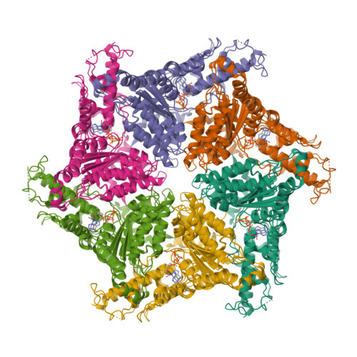 RCSB PDB - 9Y07: Cryo-EM structure of human VCP/p97-T122P mutant bound ...
