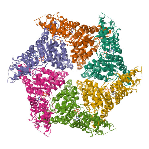 RCSB PDB - 9Y08: Cryo-EM structure of human VCP/p97-G128D mutant bound ...