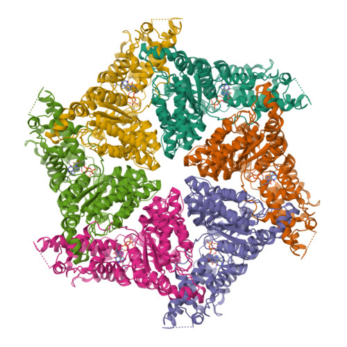 RCSB PDB - 9Y0B: Cryo-EM structure of human VCP/p97-G156D mutant bound ...