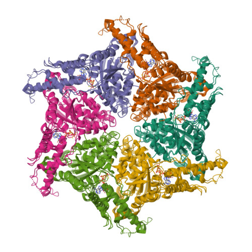 RCSB PDB - 9Y0C: Cryo-EM structure of human VCP/p97-G156D mutant bound ...