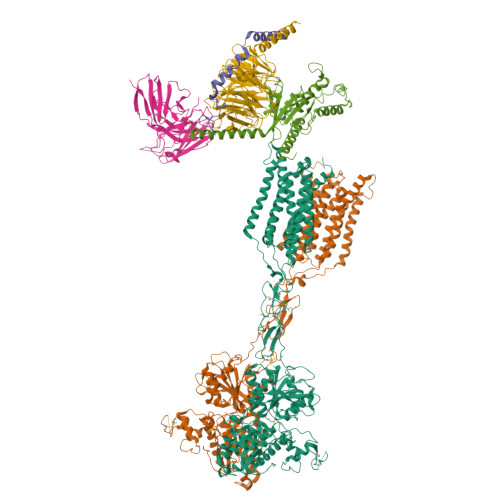 Structure 9Y1N