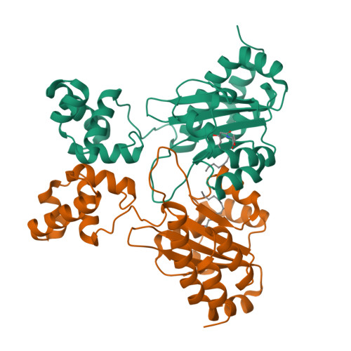 Structure 9Y2H