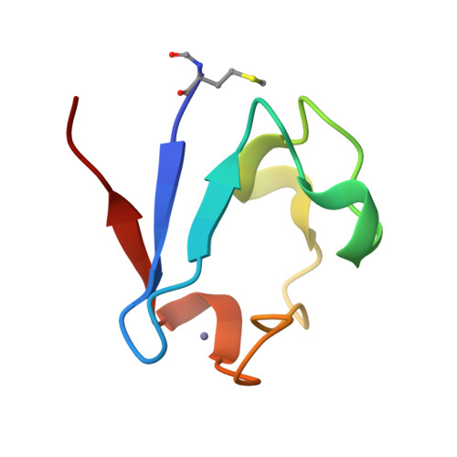 Rubyfoxide RCSB PDB - 9Y2Y: Rubredoxin from Pyrococcus Furiosus at 393K, formyl ...