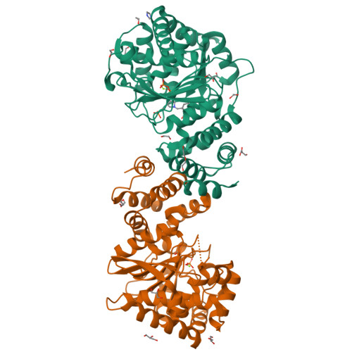 Structure 9Y36