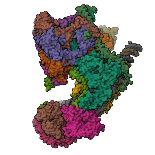 Structure 9Y3H
