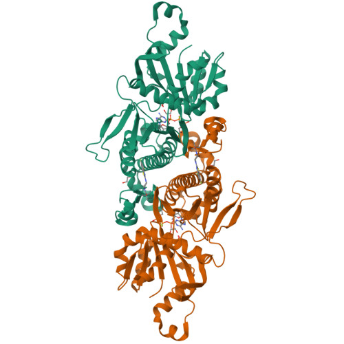 Structure 9Y3S