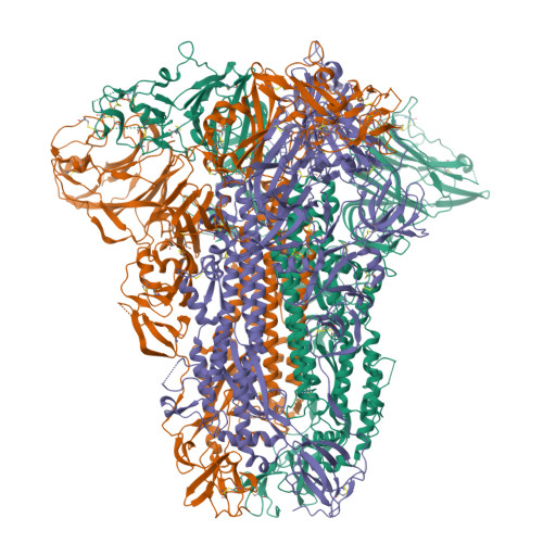 Structure 9Y54