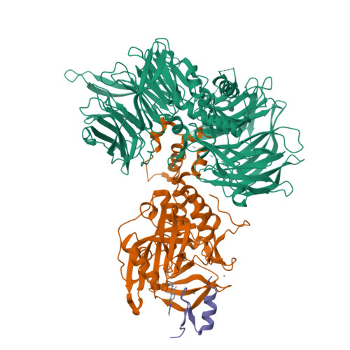 Structure 9Y5Z