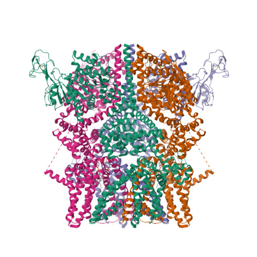 Structure 9Y6A