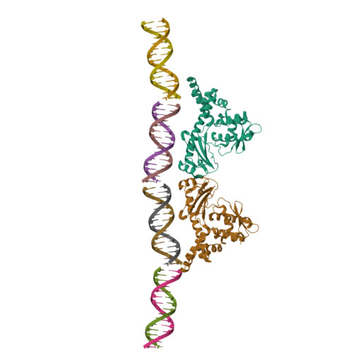Structure 9Y6E