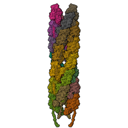 Structure 9Y6O