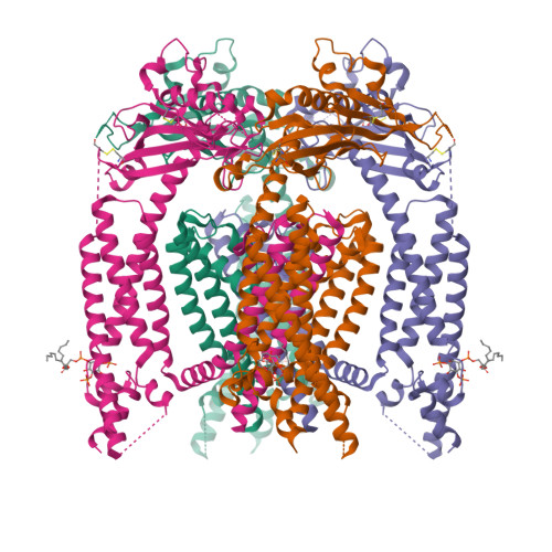 Structure 9Y6P