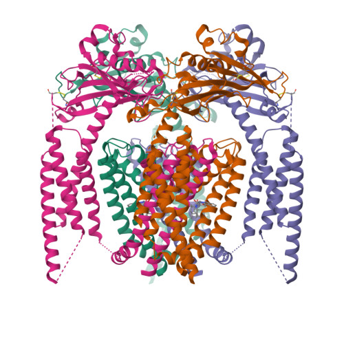 Structure 9Y75