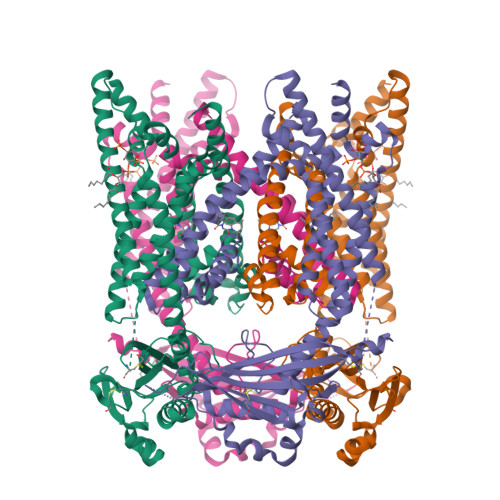 Structure 9Y7O