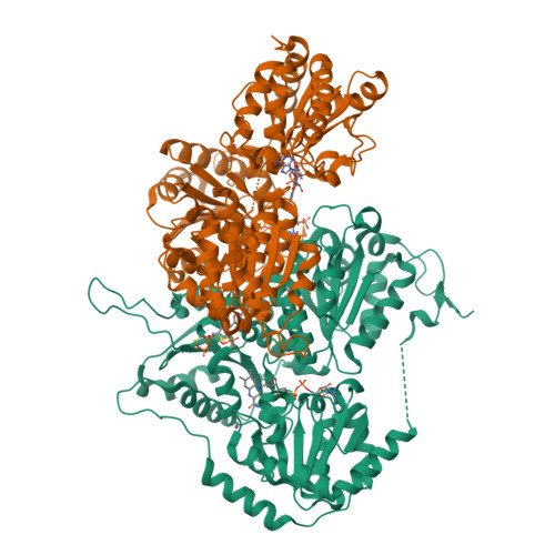 Structure 9Y8Y
