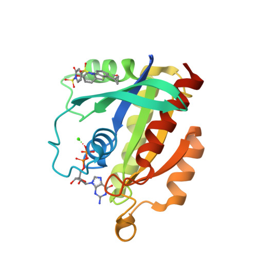 Structure 9Y9Q