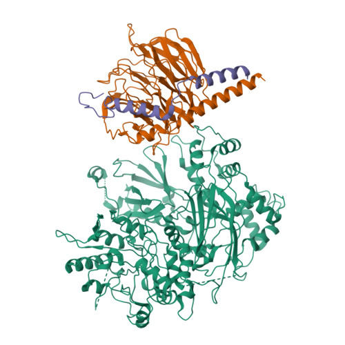 RCSB PDB - 9YAP: Gbg crosslinked to PLCb3 - second conformation