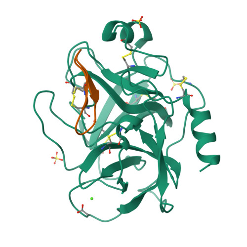 Structure 9YBC