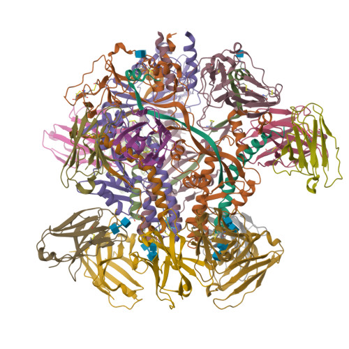 Structure 9YBY