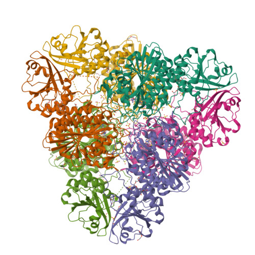 RCSB PDB - 9YC0: Plasmodium falciparum M17 aminopeptidase (PfA-M17 ...