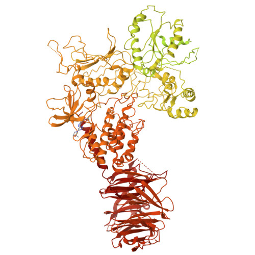 Structure 9YCD