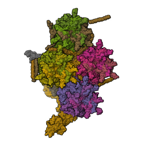 Structure 9YCH