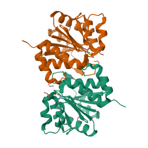 Rcsb RCSB PDB - 9YCU: Protiated human DJ-1, 100K