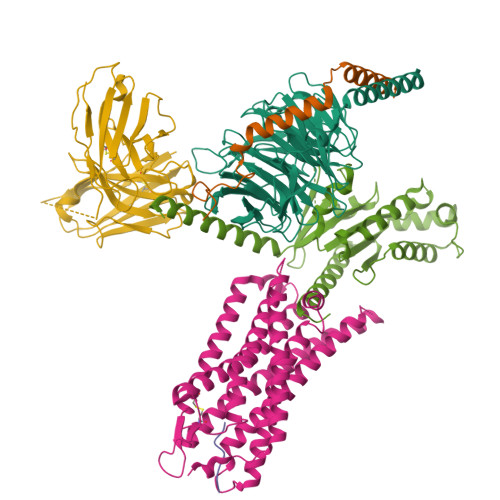Structure 9YCY