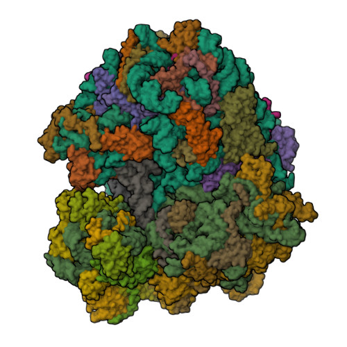 Structure 9YDC