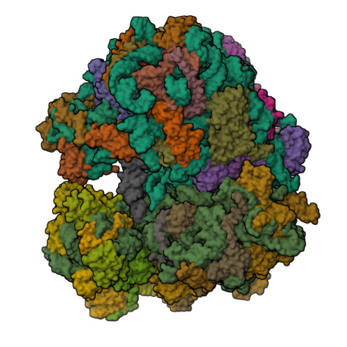Structure 9YDE