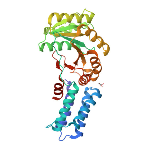 Structure 9YDH
