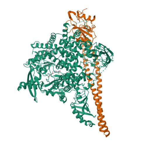 Structure 9YF2