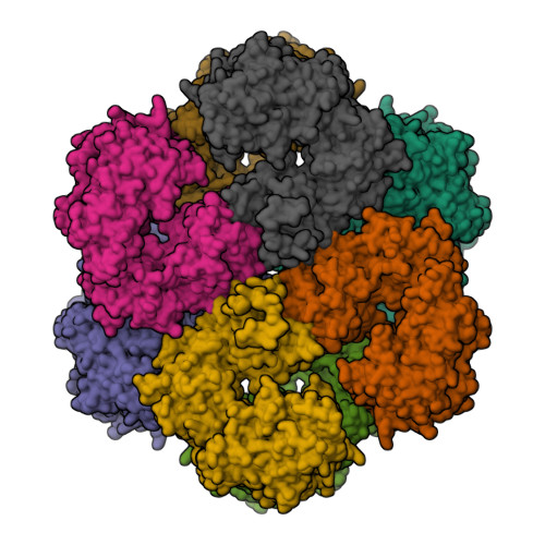 RCSB PDB - 9YFD: Defense-associated reverse transcriptase 1 (DRT1) filament